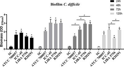 Comparative biofilm-forming ability between Clostridioides difficile strains isolated in Latin America and the epidemic NAP1/027 strain